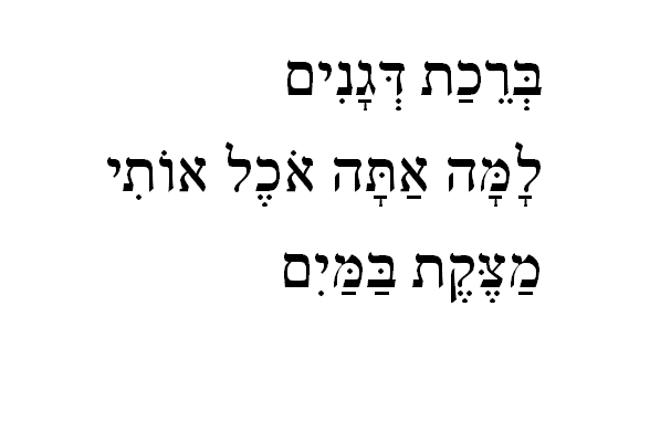 הייקוטיוב 1 הייקו ויוטיוב מתערבבים ונולד ז'אנר חדש- סרטונים של עד 15 שניות שמשאירים את הצופה בתחושה פואטית.